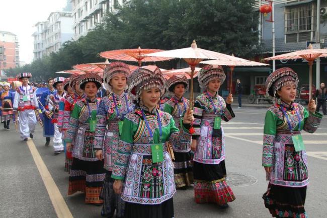 宜宾市有多少个民族