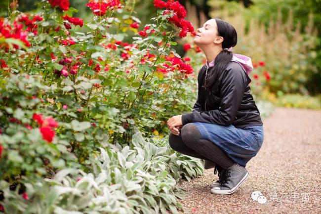 闻香识墨的意思