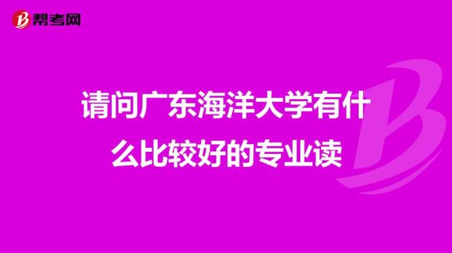 沈倦大学读的什么专业