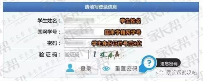 怎样在网上查学生的学籍号