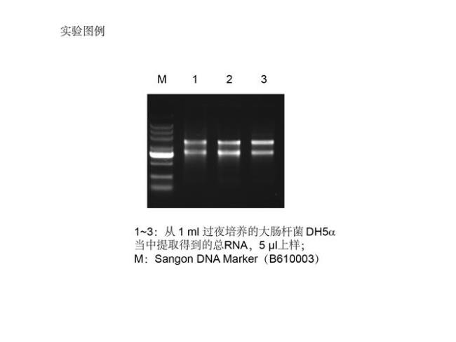 ddh20是什么水