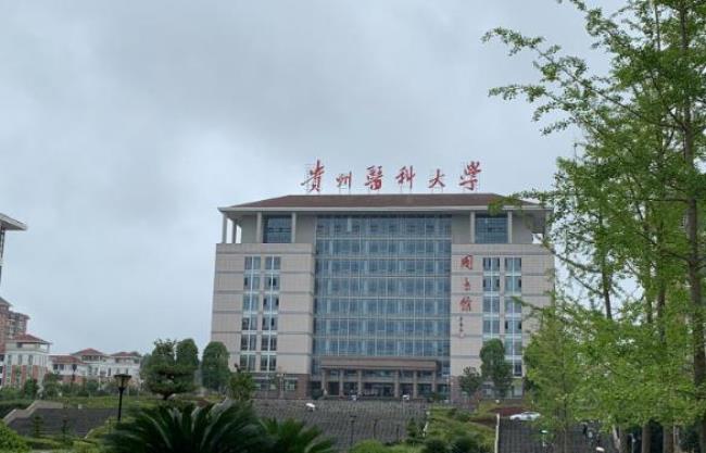 贵阳医学院属于几级