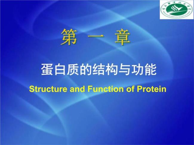 简述蛋白质空间结构层次