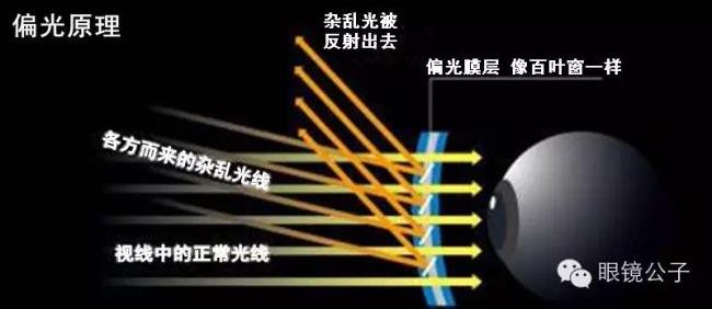 什么颜色反射散射光最亮