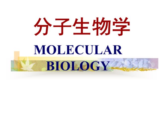 AA是什么分子生物学