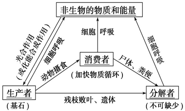 怎样做生物圈的模型