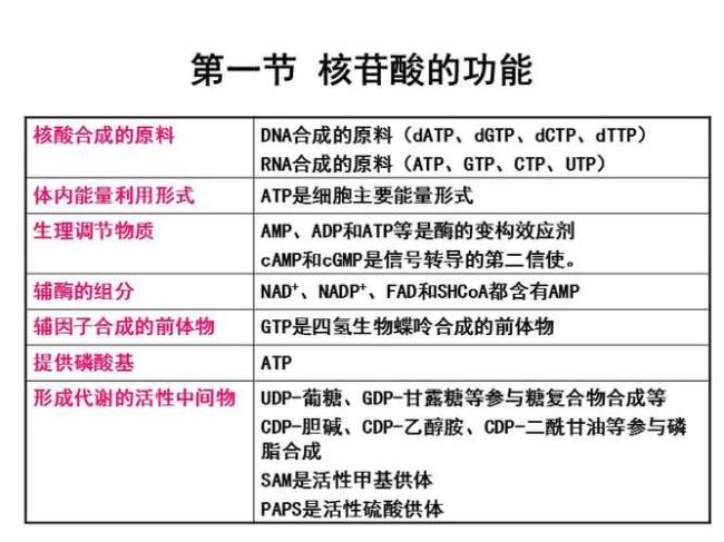 arg是什么核苷酸