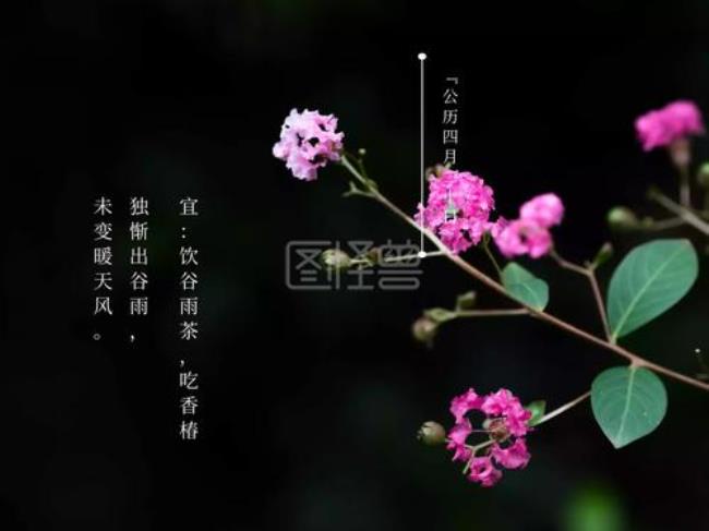 24节气春天古诗