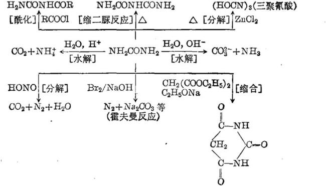 尿素分子式怎么写