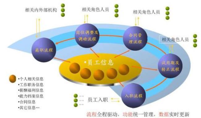 企业管理模式