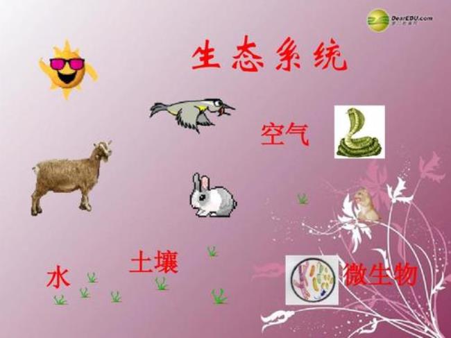 高中有地理和生物吗