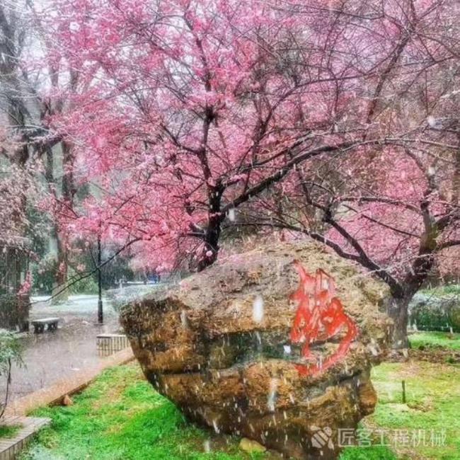 武汉大学梅园三舍住宿条件