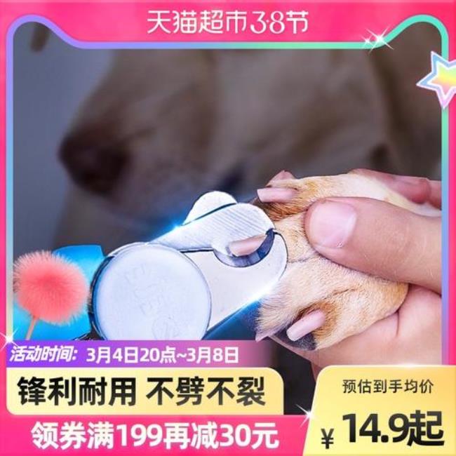 猫指甲可以用人类剪刀剪吗