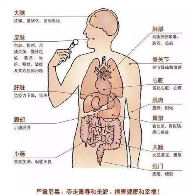 人体五脏的排列顺序