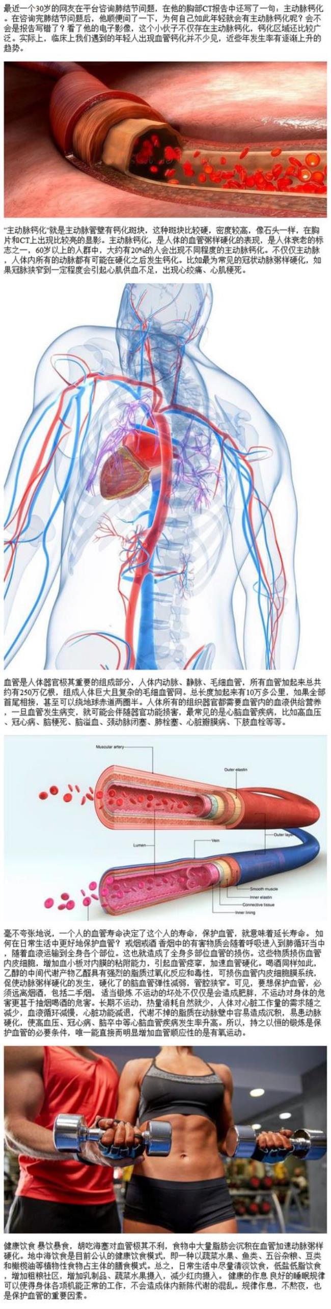 人工血管的使用寿命有多长