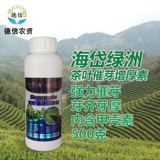 920茶叶催芽剂喷几个小时有效