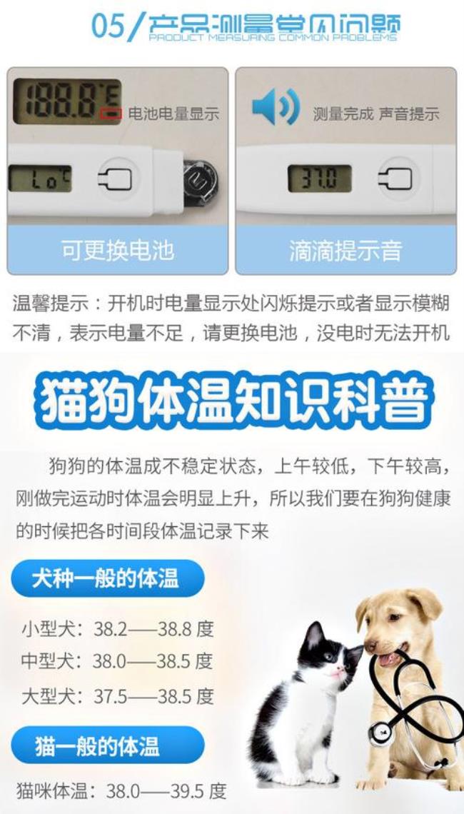 人用的温度计可以给猫咪用吗