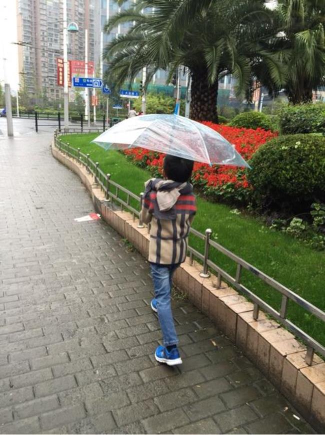 男生和女生雨中漫步什么意思