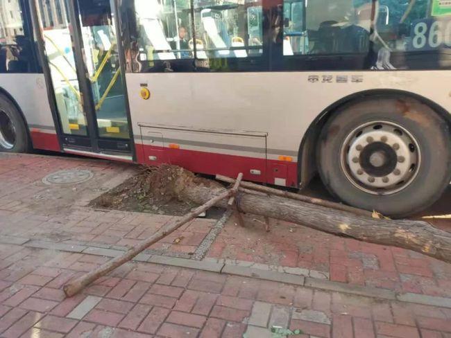 天津570公交车停运了吗