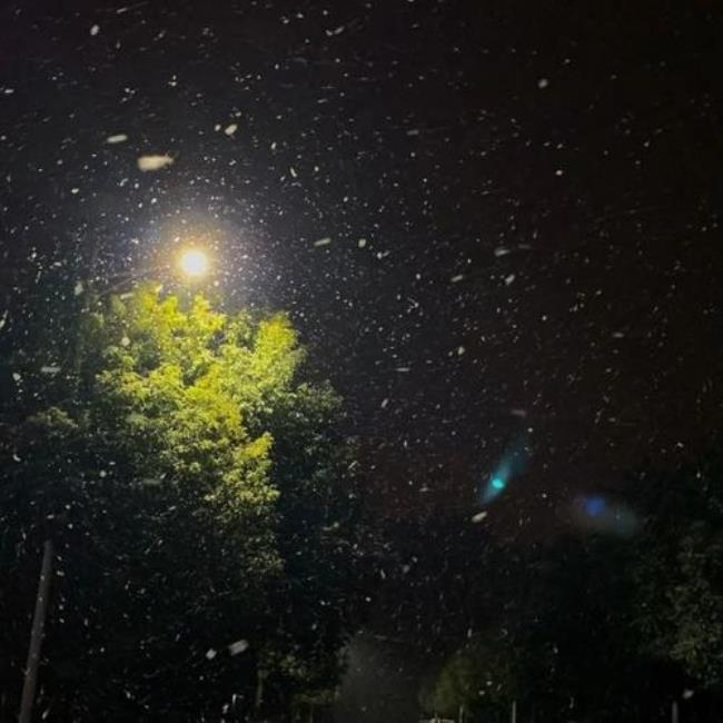 雨下整夜什么意思