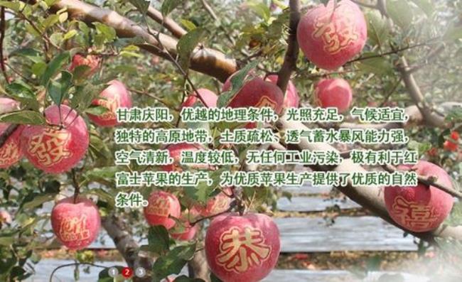 洛川苹果和庆阳苹果哪个好