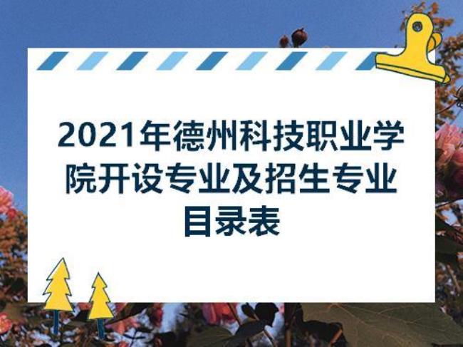 德州科技技术专业学院怎么样