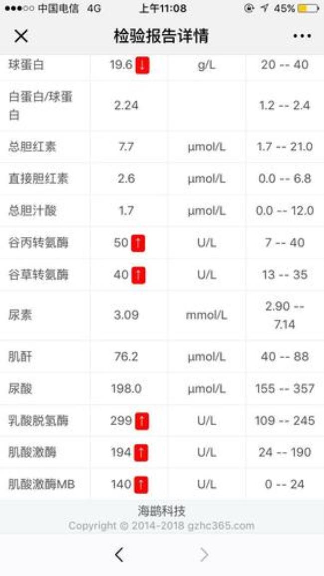 单纯CKMB高是怎么回事