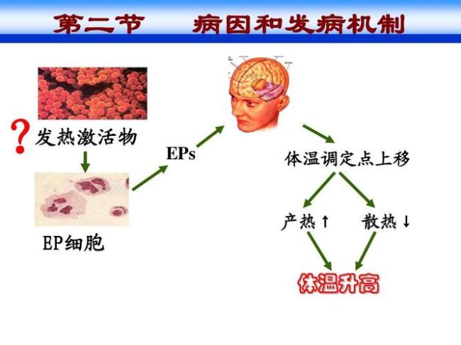 温度调节机制是什么