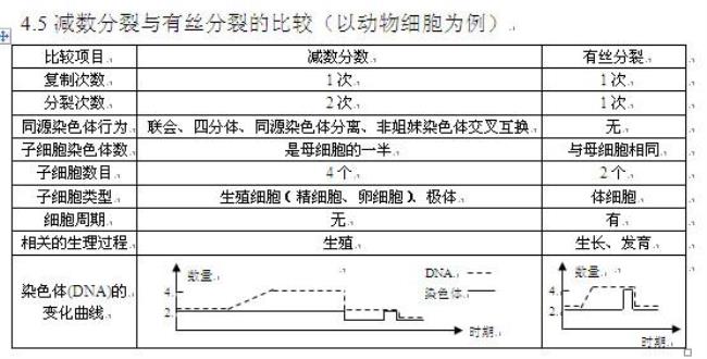 原生生物怎么分裂