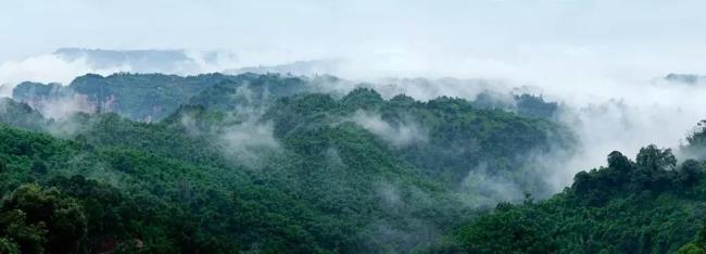 宜宾五指山海拔高度