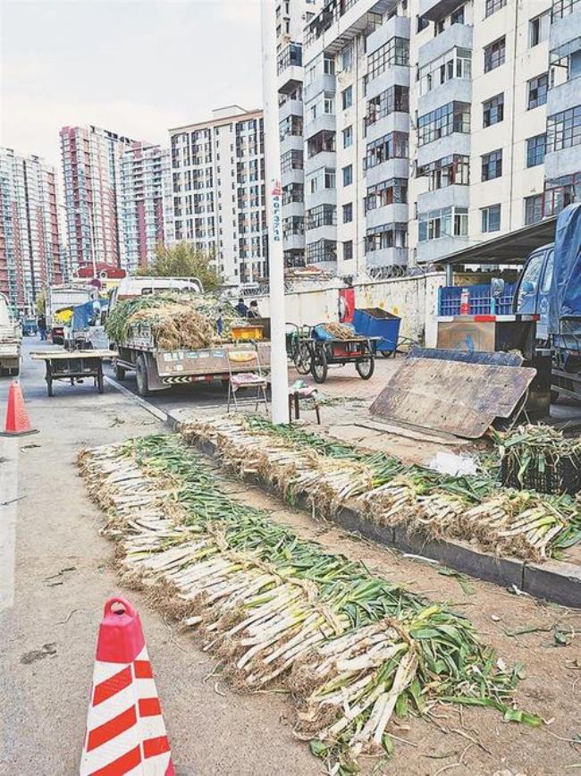 大连沙河口区秋菜点