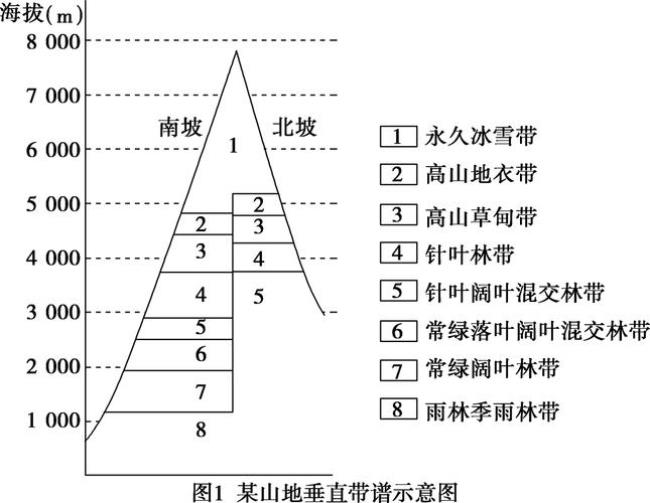 垂直分布和水平分布怎么区分