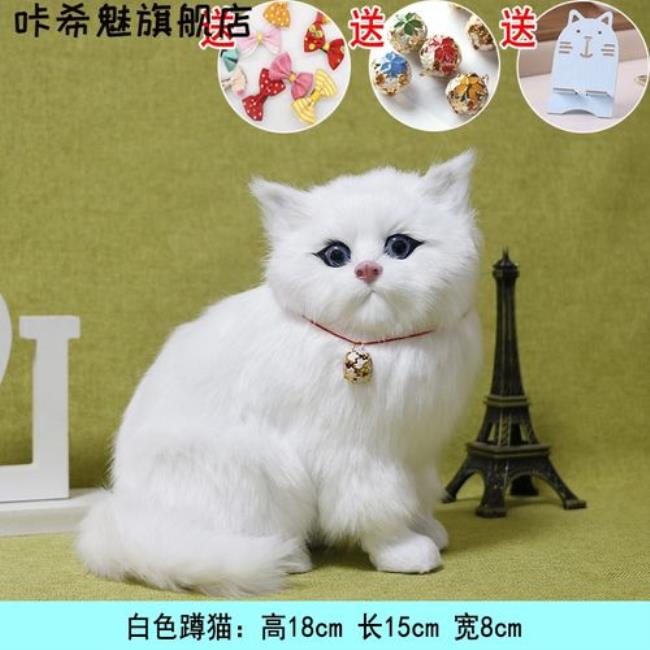 猫咪蹲着表示什么