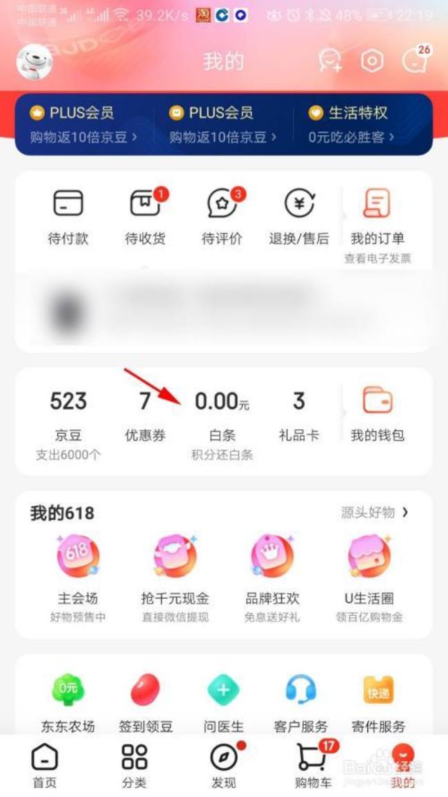 下载京东白条什么意思