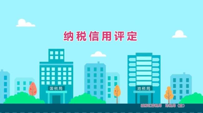 m级纳税人是什么意思