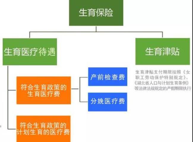 省保和市保的生育险区别在哪里