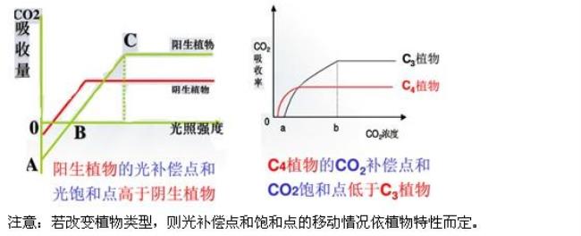 光合作用小叶片上浮的原理