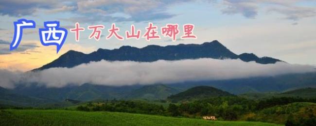 历史上关于大山的安徽名人故事