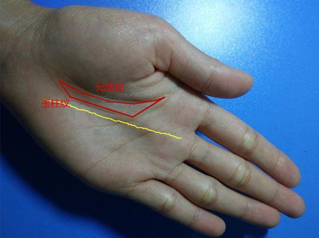手掌上的三條線條分別代表什麼