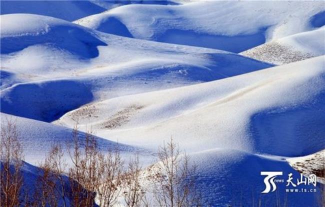 新疆伊犁冬天冷吗