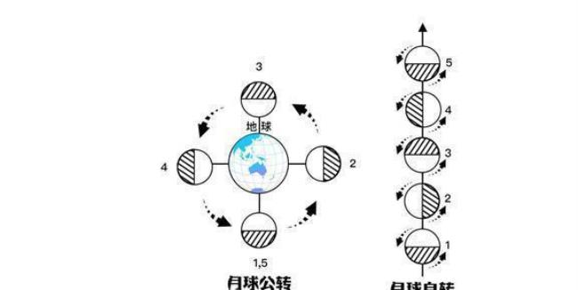 月球自转为什么和公转一样