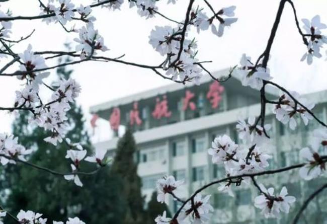 中国民航大学东丽校区面积