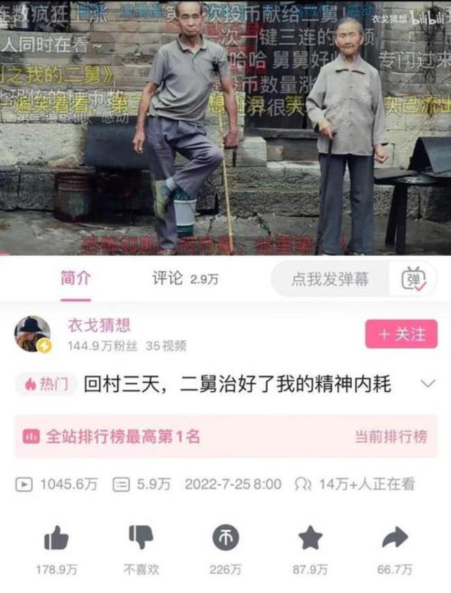 二舅是什么意思