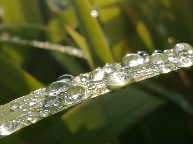 雨露季节是在几月份