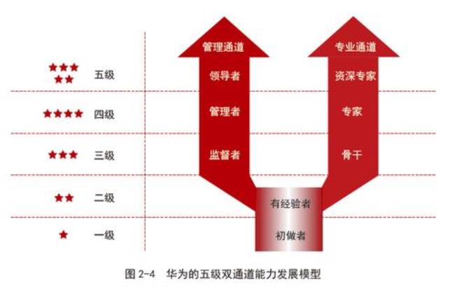 华为需要的人才