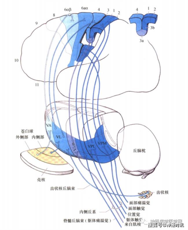 秋闹是什么