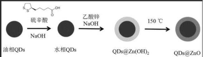 什么叫氧化偶合反应