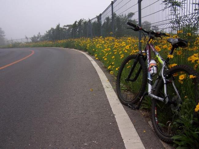 自行车能上高速公路么