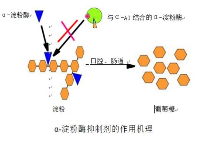 淀粉的本质