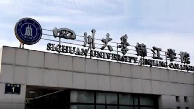 四川大学属于几级学院